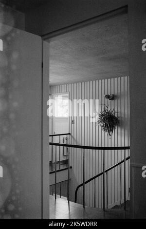 Die Treppe des historischen, vom Bauhaus beeinflussten Gropius House in Lincoln, Massachusetts. Das Bild wurde auf analogem Schwarzweiß-Film aufgenommen. Stockfoto