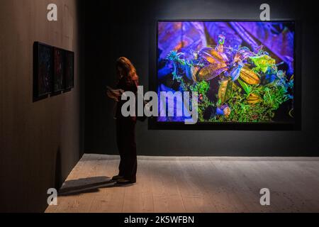 London, Großbritannien. 10. Oktober 2022. Ein Besucher, der sich ein Standbild von „Broken Spectre“ von Richard Mosse auf 180 The Strand angesehen hat. Die Installation dokumentiert die Umweltverbrechen in entlegenen Teilen des brasilianischen Amazonas mit einer Reihe von wissenschaftlichen Bildgebungstechnologien.Quelle: Stephen Chung / Alamy Live News Stockfoto