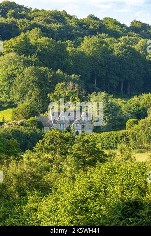 Morgenlicht am Midsummers Day (21.. Juni) auf der 17. Century Abbey Farm in den Cotswolds am Vatch in der Nähe von Stroud, Gloucestershire, England, Großbritannien Stockfoto