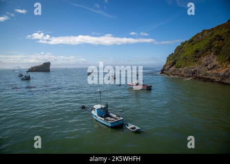 Trinidad Harbor in Nordkalifornien Stockfoto