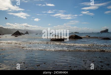 Trinidad Harbor in Nordkalifornien Stockfoto