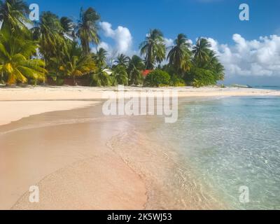Idealer rosa Sandstrand auf einer tropischen Insel in Französisch-Polynesien. Palmen an der Meeresküste, kristallklares Wasser an sonnigen Tagen. Wunderschöne Naturlandschaft. Erstaunlicher natürlicher Hintergrund. Reisen, Tourismus Urlaub Stockfoto
