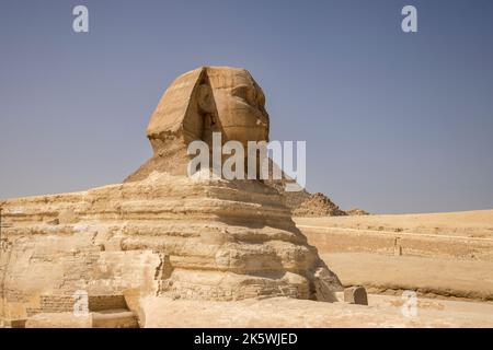 Die große Sphinx von gizeh eine 4500 Jahre alte Kalksteinskulptur auf dem gizeh-Hochplateau am Westufer des nils in ägypten Stockfoto