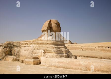 Die große Sphinx von gizeh eine 4500 Jahre alte Kalksteinskulptur auf dem gizeh-Hochplateau am Westufer des nils in ägypten Stockfoto