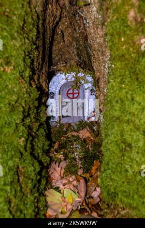 Feenhäuser in einem dunklen Wald. Stockfoto