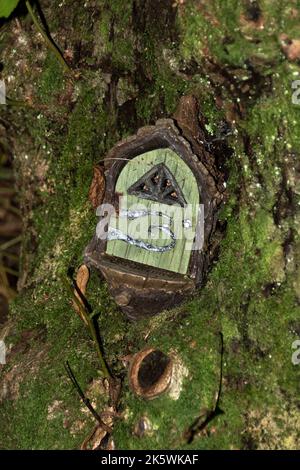 Feenhäuser in einem dunklen Wald. Stockfoto
