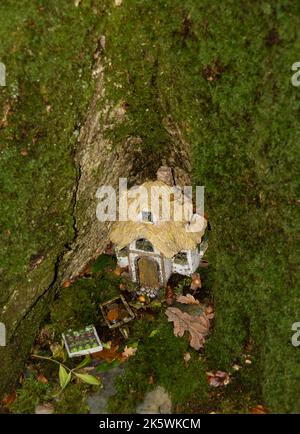 Feenhäuser in einem dunklen Wald. Stockfoto