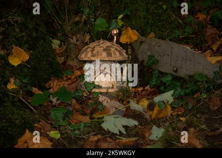 Feenhäuser in einem dunklen Wald. Stockfoto