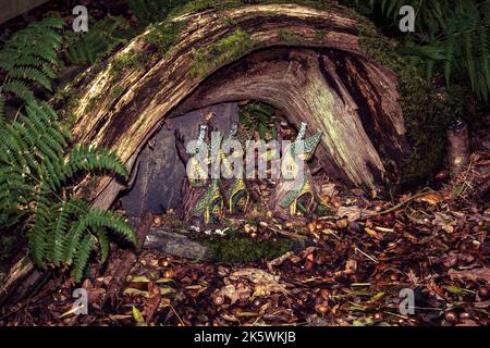 Feenhäuser in einem dunklen Wald. Stockfoto