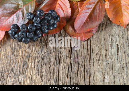 Reife Beeren mit Herbstblättern auf einem Holztisch. Essen auf grauem Hintergrund Stockfoto