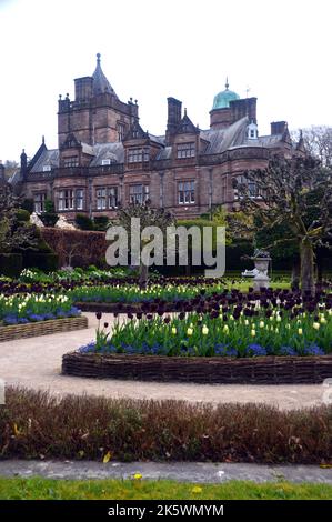 Tulpenausstellungen in den Grenzen des Sommergartens in der Holker Hall & Gardens, Lake District, Cumbria, England, Großbritannien Stockfoto