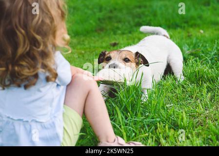 Kleines Mädchen zieht Spielzeug spielen Tauziehen Spiel mit Familie Haustier Hund Stockfoto