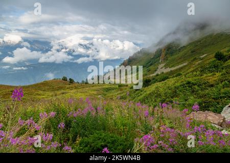 Schöne Landschaft in den Bergen von Krasnaya Polyana Stockfoto