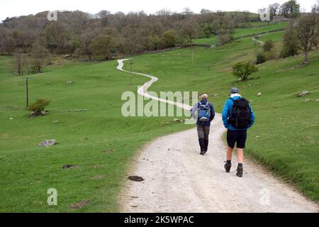 Zwei Männer, die auf dem Winding Path zum Scar House in der Nähe von Hubberholme in Langstrothdale, Yorkshire Dales National Park, Yorkshire, England, Großbritannien, wandern. Stockfoto