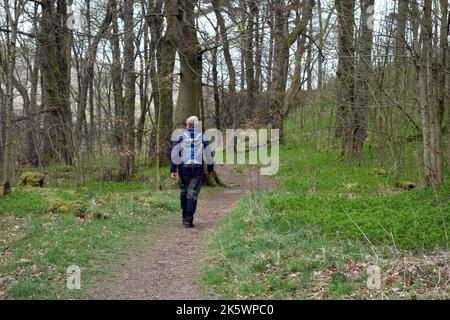 Einsame Mann auf dem Weg durch Rais/Strans Wood in der Nähe von Hubberholme in Langstrothdale, Yorkshire Dales National Park, Yorkshire, England, Großbritannien. Stockfoto