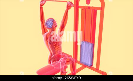 Abstrakte 3D-Kunst eines Mannes auf dem Lat Pulldown Maschine Stockfoto