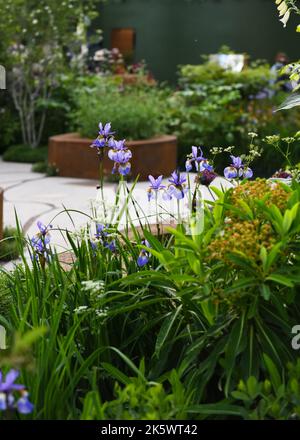 Chelsea Flower Show 2022 Stockfoto