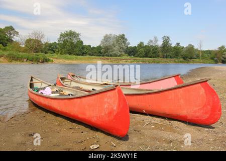 Drei alte rote Kanus (Boote) am Ufer der Morava, Österreich, Europa Stockfoto