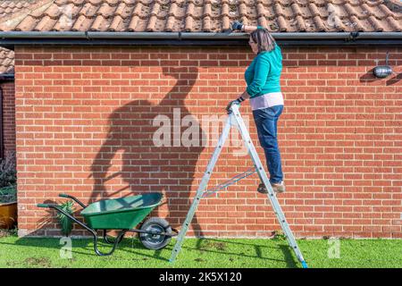 Frau, die Moos aus den Dachrinnen rausräumte, um zu verhindern, dass Regen überläuft und die Wand herunterläuft. Feuchte Wand verursacht Flecken und reduziert die Wärmedämmung des Hauses. Stockfoto