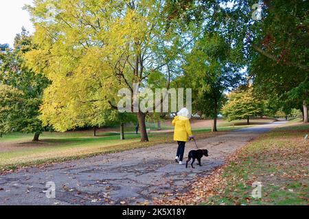 Ipswich, Suffolk, Großbritannien - 10. Oktober 2022 : strahlender Herbstnachmittag in der Stadt. Herbstfarben im Christchurch Park. Stockfoto