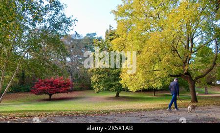 Ipswich, Suffolk, Großbritannien - 10. Oktober 2022 : strahlender Herbstnachmittag in der Stadt. Herbstfarben im Christchurch Park. Stockfoto