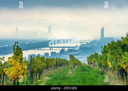 Wien, Wien: Morgennebel über Wien, Weinberge, Donau, Donauturm, DC Tower 1, Millennium Tower, Blick vom Nußberg im Jahr 00. o Stockfoto