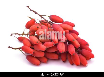 Die Gruppe der Berberitze roten Beeren auf weiß isoliert Stockfoto