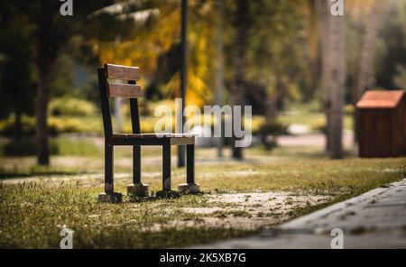 Eine Holzbank im grünen Park Stockfoto