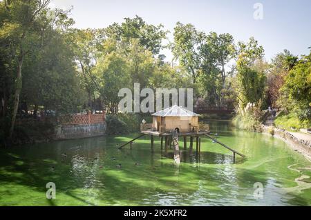 Aveiro City Park, an einem sonnigen Tag Stockfoto