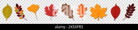 Set aus Herbstblättern Symbol. Vektordarstellung auf transparentem Hintergrund isoliert Stock Vektor