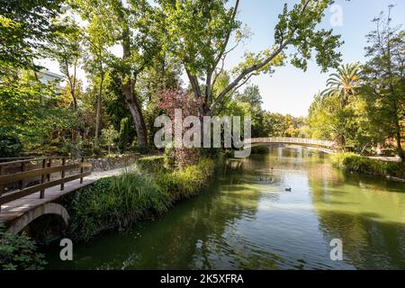 Aveiro City Park, an einem sonnigen Tag Stockfoto