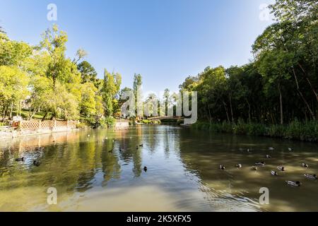 Aveiro City Park, an einem sonnigen Tag Stockfoto