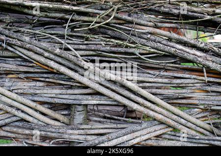Zaun aus Ästen Bretter, Nahaufnahme von Baumstamm im Wald, DIY Wattle Fechten, gewobene dünne Äste zwischen aufrechten Lamellen, umweltfreundlich fenc Stockfoto