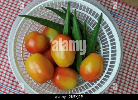 Gemüse und Kräuter, Okra oder Lady Finger Früchte und Tomaten zum Kochen vorbereiten. Stockfoto