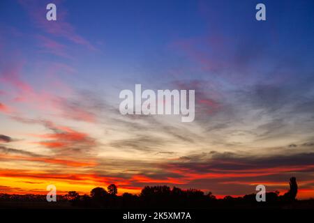 Malerischer Sonnenaufgang über den Bäumen. Rote Wolken am Morgenhimmel. Morgenlandschaft. Stockfoto