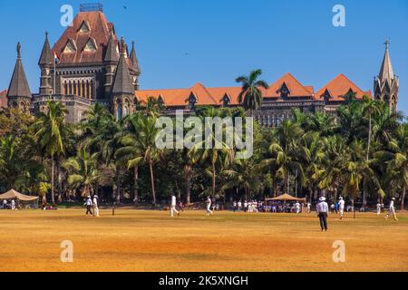 Cricket auf dem Oval Maidan in Mumbai / Bombay, Indien Stockfoto