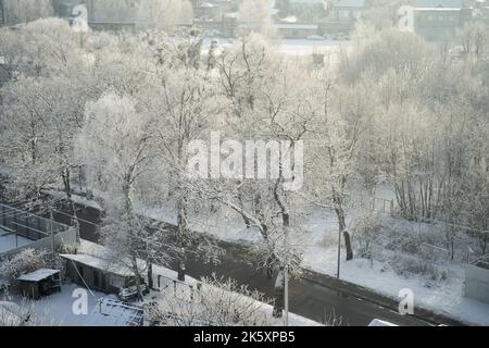 Bäume nach Schneefall. Schneebedeckte Bäume mit einer Straße Stockfoto