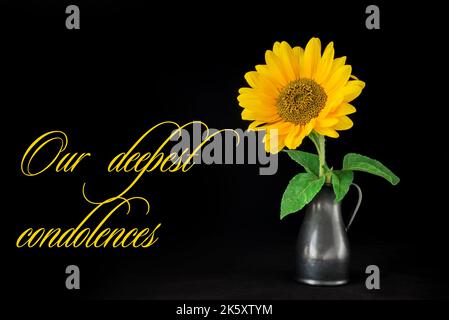 Eine Sonnenblume in einer Vase auf schwarzem Hintergrund. Stockfoto