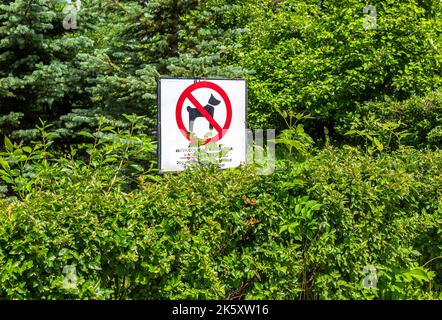 Warnschild: Hundespaziergängen ohne Leine und Schnauze sind verboten Stockfoto