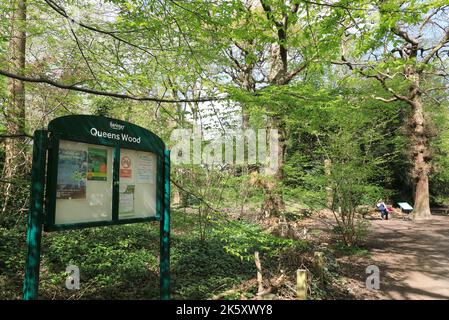 Pretty Queens Wood in Highgate, bei Frühlingssonne, im Norden Londons, Großbritannien Stockfoto