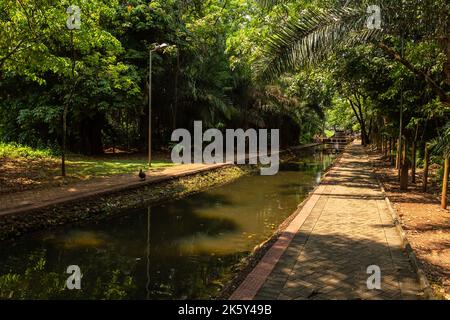 Goiânia, Goias, Brasilien – 09. Oktober 2022: Ein Blick auf Bosque dos Buritis in der Stadt Goiania. Stockfoto