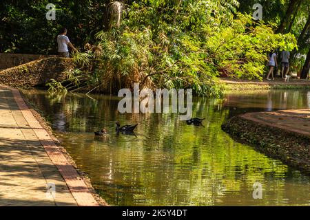 Goiânia, Goias, Brasilien – 09. Oktober 2022: Ein Blick auf Bosque dos Buritis in der Stadt Goiania. Stockfoto