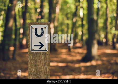 Reitweg Schild mit Pfeil. Hochwertige Fotos Stockfoto