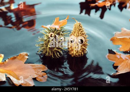 Handgemachte Stachelmonster mit schönen Augen, handgefertigte diy-Figuren, im Wasserbecken mit Herbstblättern. Kreative Ideen für handgefertigte Herbstspielzeug aus Stockfoto