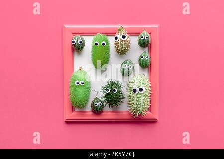Handgefertigte natürliche Monster mit schönen Augen aus natürlichen spiky Dekofrüchten in quadratischem Rahmen auf pulsierendem Punk-Hintergrund. Herbst, Herbst lustig handgefertigt Stockfoto