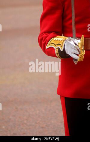 Guardsman in der Mall während des Trooping of the Color London England Stockfoto