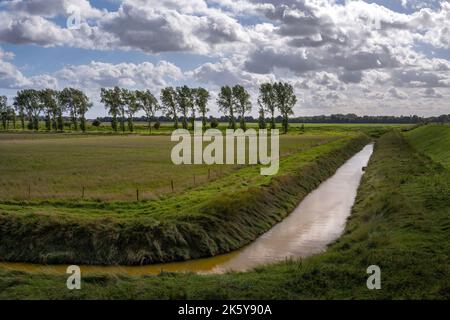 Landschaft in den Fens, Kanal, Feld und Bäume an einem Herbsttag, Lincolnshire, East Midlands, England Stockfoto