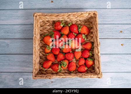 Draufsicht auf Erdbeeren in einem Korb mit blauem Holz und weißem Hintergrund Stockfoto