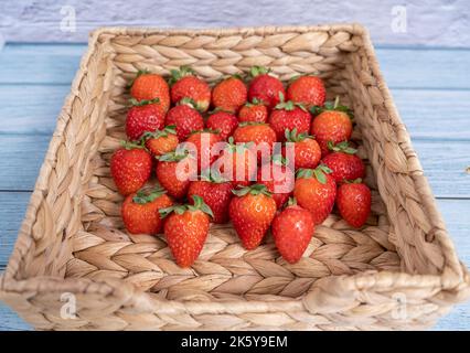 Erdbeeren in einem Korb blau Holz und weißem Hintergrund. Stroh Stockfoto