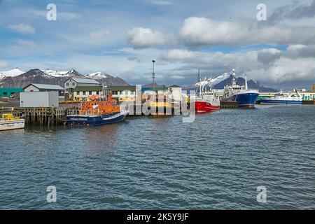 Hafen von Hofn, Island Stockfoto